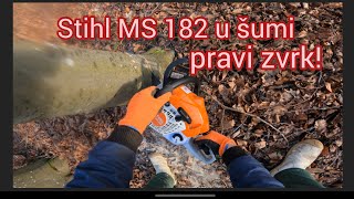 Stihl ms 182 u akciji u šumi Izvanredna motorka Pravi zvrk [upl. by Quintana]