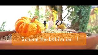 Schöne Herbstferien [upl. by Ridinger]