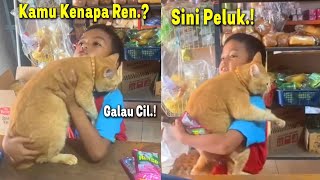 LUCU BANGET😂 Kucing Oren Galau Minta Digendong Bocil Karena Habis Diselingkuhin [upl. by Nwahsek]