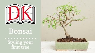 Bonsai Styling Your First Bonsai Tree [upl. by Jemy]