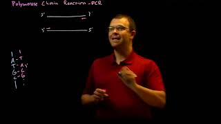 Polymerase Chain Reaction PCR [upl. by Siul]