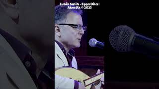 Zubêr Salih  Eşqa Dila  Akustik © 2023 [upl. by Etheline]