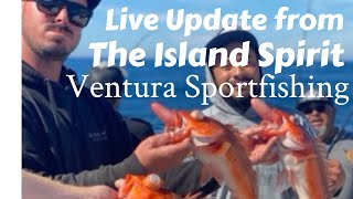 Live update with important tackle tips from Cody Rogers on the Island Spirit for So Cal Rockfish [upl. by Rehpotsirk844]