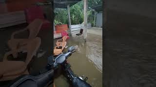 BANJIRRR shorts fishing kolamikan funny [upl. by Anemaj]