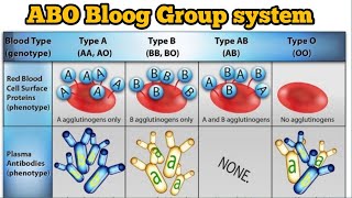 ABO blood group system  inheritance  genetics variationandgenetics [upl. by Ylek896]