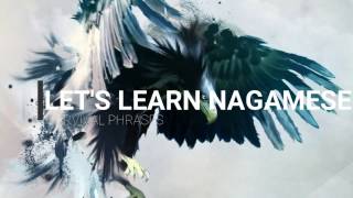 Lets learn Nagamese Survival phrases PART1 [upl. by Elfreda814]