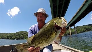 Live Shiners For Big Bass [upl. by Halik]