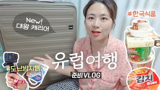 혼자 런던amp파리 여행 준비 VLOG 🧳 무계획인간의 멍청비용🥲 새 캐리어 도난방지템 짐싸기 예약 [upl. by Rebak]