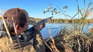 Duck Hunting a HIDDEN Pond on Opening Day CATCH CLEAN COOK [upl. by Innus319]