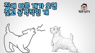 집에 놀러온 손님 개에게 짖고 공격적인 반려견이라면 달래고 간식 주는 방법은 당장 그만두고 이렇게 해보세요 [upl. by Akcirehs]