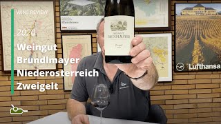 Wine Review Weingut Brundlmayer Niederosterreich Zweigelt 2020 [upl. by Amirak648]