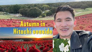 Exploring Hitachi Seaside Park Full VlogWith Thagu🥰🥰🍂 [upl. by Dominic]