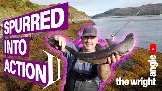 Shore Fishing uk near Oban Argyll for Spurdog [upl. by Kemppe49]