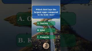 General knowledge quiz part 107 generalknowledge generalknowledgequiz challenge quiz gk trivia [upl. by Perrine]