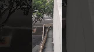 lift to Pirrama Pyrmont street of lift race stairs challenge [upl. by Edita]