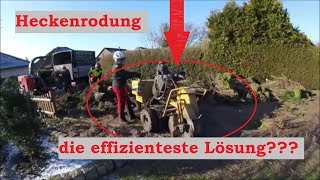 Heckenrodung  Effizient und ohne Bagger  Baumpflege Mertens [upl. by Althee977]