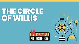 Circle of Willis and Cerebral Blood Supply Mnemonics Memorable Neurology Lecture 11 [upl. by Erot]