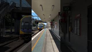 H53 arriving into Fairy Meadow  South Coast NSW ilovetrainsyesido [upl. by Adiesirb655]