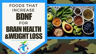 Foods That Increase BDNF for Brain Health amp Weight Loss [upl. by Ailelc]