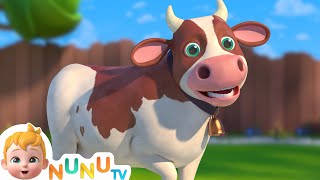 The Cow song  More Nursery Rhymes amp kids Songs  NuNu Tv [upl. by Orlov]