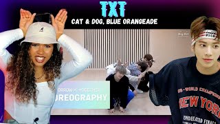 DANCE PRO Discovers TXT  Cat amp Dog Blue Orangeade Dance Practices [upl. by Aicirtel813]