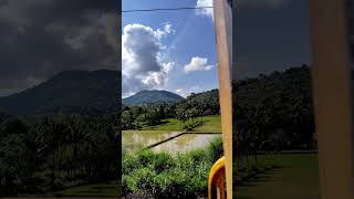 Kerala nature beauty music ytshorts travelphotograph travel [upl. by Atileda872]