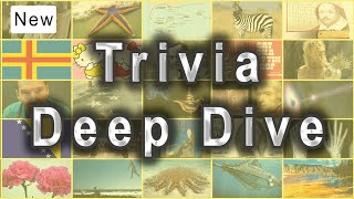 Trivia Deep Dive E1 – enhanced by Google’s NotebookLM [upl. by Odrarebe]