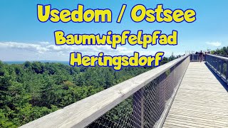 Der Heringsdorfer Baumwipfelpfad  Usedom  Ostsee [upl. by Zusman]