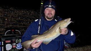 Sea Fishing For Winter Cod At Cowbar Jetty In Staithes [upl. by Cleodell]