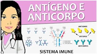 Imunologia 08  Antígeno e Anticorpo  Vídeo aula de sistema imune [upl. by Child]