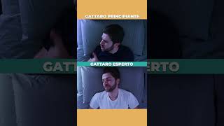 Onesti siete esperti o principianti 🐈‍⬛🥹 cat gattonero gatto memes garfield pets [upl. by Nael]