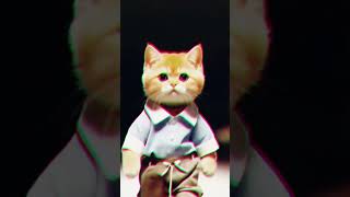 Cat dance 💃💃🥳🥳🥳🥳🥳 [upl. by Menedez]