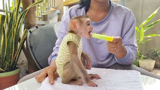 Genius DAM Eating Delicious Ice Cream Alike Human Kid [upl. by Kingsley]