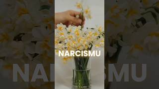 🔥 Podcast o narcismu tedcast narcismus narcissism psychopathy terapie psychologie [upl. by Relyt992]