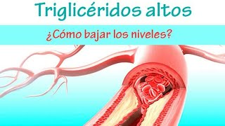 Como Bajar Los Trigliceridos de un día para Otro ✦ Alimentos Que Disminuyen Los Trigliceridos [upl. by Kreda643]