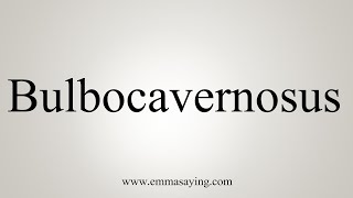 How To Say Bulbocavernosus [upl. by Ayiak]