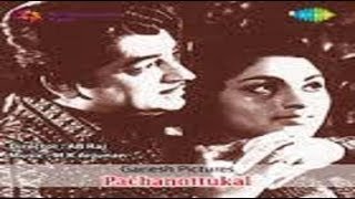 Pachanottukal 1973 Full Malayalam Movie [upl. by Rogerio]