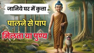 जानिये घर में कुत्ता पालने से पाप मिलता या पुण्य एक बार इस वीडियो को जरूर देखें  buddha education [upl. by Netta875]