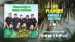 Los Flamers  Homenaje a Rigo Tovar Audio Oficial [upl. by Elagiba]