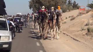 المهرجان الدولي بزعفران ماراطون التناوب مع المهاري Festival international de Zaafrane 2019 [upl. by Krebs362]