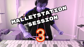 Malletstation session 3 The Bird [upl. by Yenitsed]