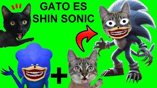 SOY UN GATO SHIN SONIC VS gatitos Luna y Estrella  Videos de Shin Sonic Tapes en la vida real [upl. by Ajani]