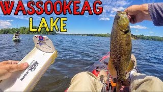 Maine Smallmouth Fishing  quotLake Wassookeagquot [upl. by Tada]