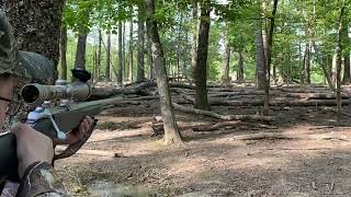 A spotted boar a russian stampede and a big gold boar  Spartan Hunting Preserve [upl. by Yert]