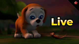 🔴 LIVE STREAM 🐶 Educational Fun with Pupi 🐞 Bedtime Stories with Manjadi [upl. by Labannah]