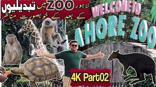 Lahore Zoo in 4KP02  Lahore Zoo Reopened 2024 Lahore Zoo like Europe zoo animals children [upl. by Raina]