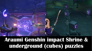 Araumi Genshin impact Shrine amp underground puzzlesCleansing defilement Quest location [upl. by Retse]