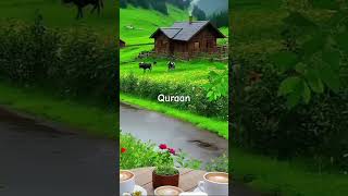 Surah muriumurdu  translation  islamic  shortislamicprayer [upl. by Ilowell]