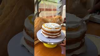 Vanilla Chiffon cake with Fresh mango filling [upl. by Lada]