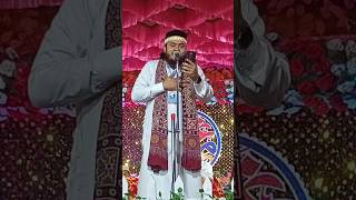 Kisi Raees Ko Main Dil mein rakh Nahin Sakta Nadeem Raza Faizi ursmujahid viralvideos [upl. by Addam]